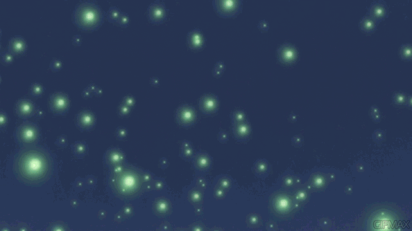 Resultado de imagem para fireflies gif