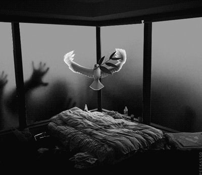 5CB6736C7E78A708843FBE795FE0D72129730C7B